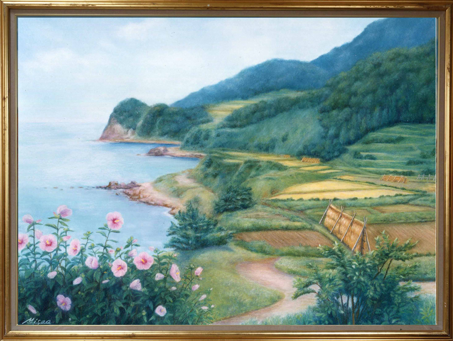 ムクゲ咲く能登